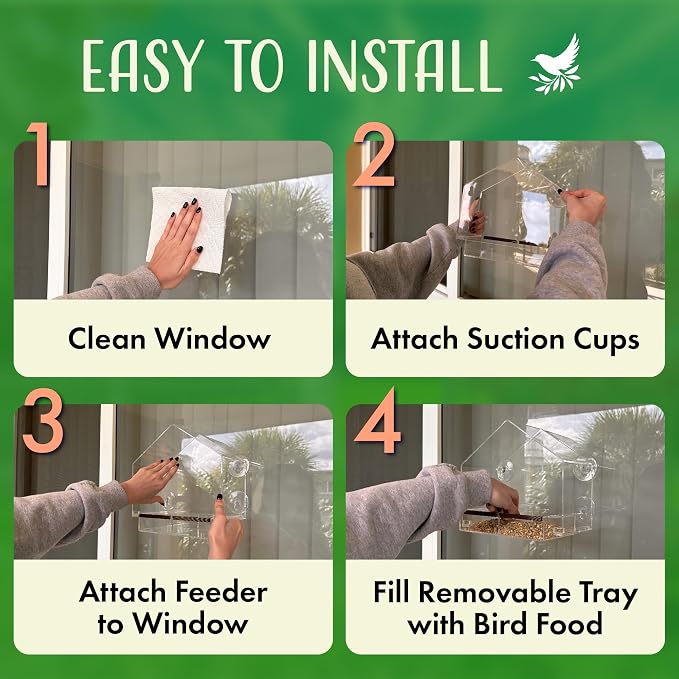 Window Bird Feeder with Strong Suction Cups, Balcony Glass Mount, Acrylic Cat - Image 2
