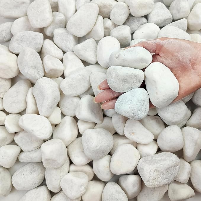 FANTIAN 20 lbs White Rocks for Landscaping, 2-3 Inch Large River Rocks. by FANTIAN-GardeningMakesLifeBetter