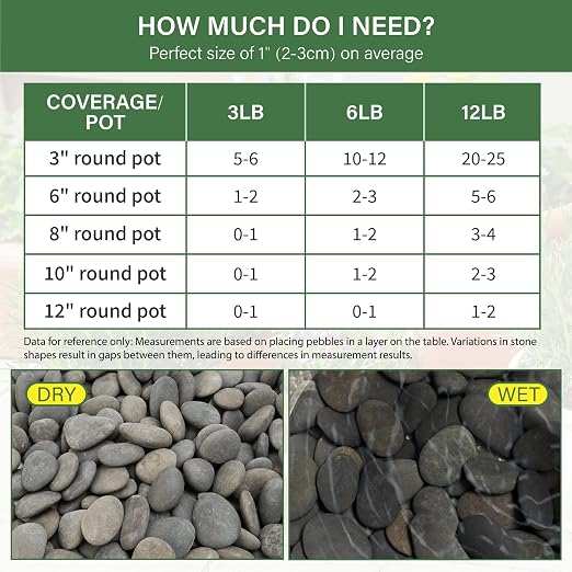 NUPICK 3lb Mexican Beach Pebbles, Smooth Garden Rocks - Image 2