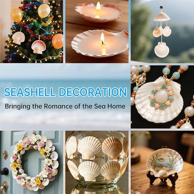 20PCS Large Scallop Shells for Crafts, 4-5 Inch Natural Sea Shells for - Image 7