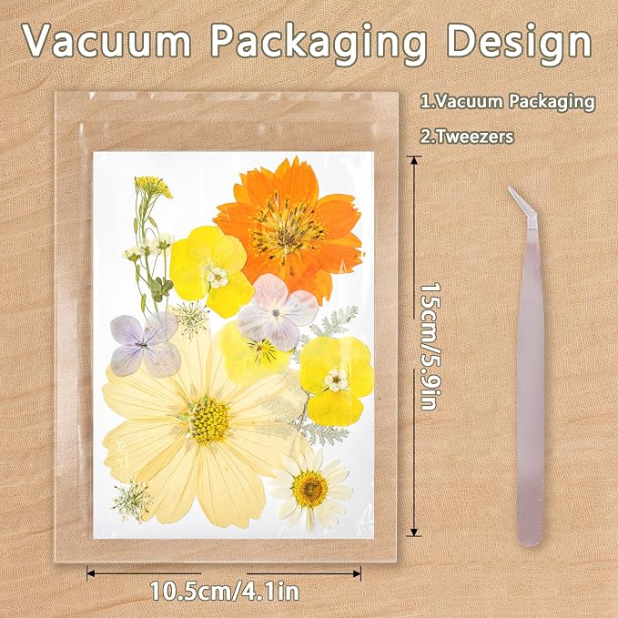 Dried Pressed Flowers Real Pressed Flowers Natural Dry Leaves Bulk Mixed - Image 2