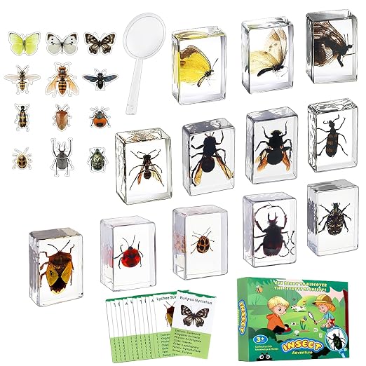 12 PCS Real Insect Resin Specimen, Science Education Bug Collection | Preserved by Unknown