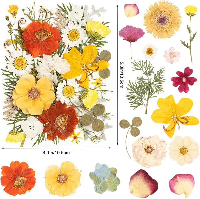 140pcs Dried Pressed Flowers Bulk, Natural Fall Pressed Dried Flowers - Image 2