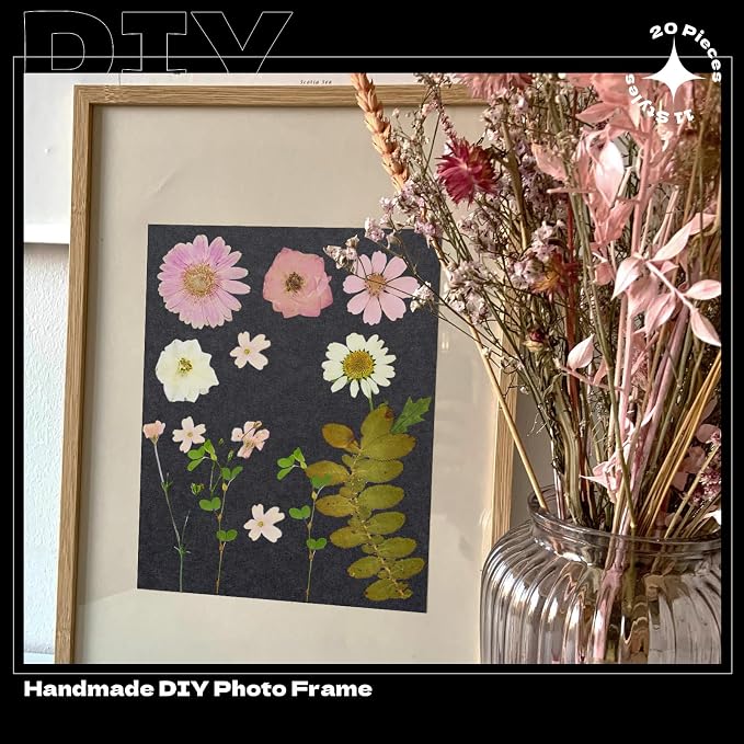 Pink Dried Pressed Flowers, Real Nature Flowers - Image 7