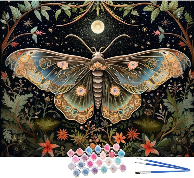 TOCARE Butterfly Paint by Numbers Kit by TOCAREDirect