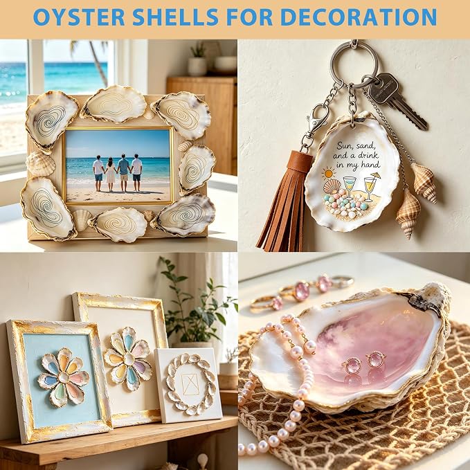 20Pcs 5"-6" Concave Oyster Shells - Image 6