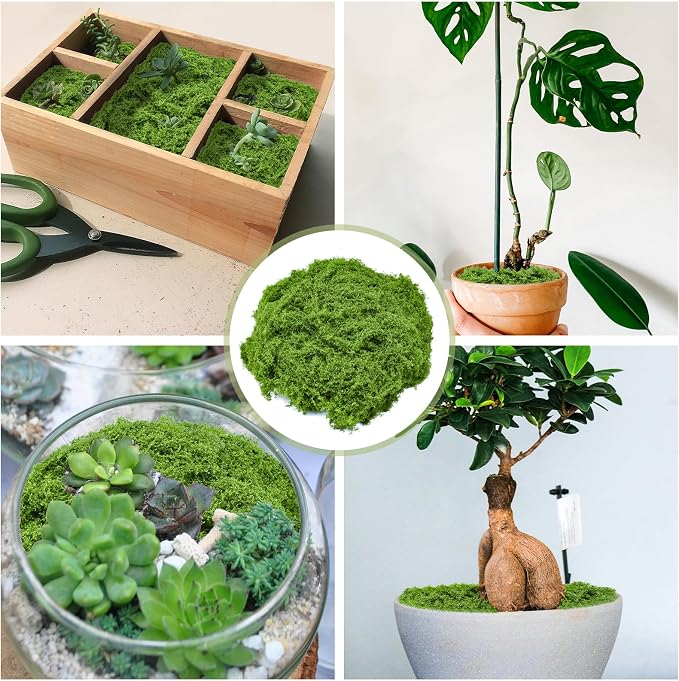 Fake Green Moss for Crafts 3.5 Oz Decorative Artificial Moss for Crafts - Image 2