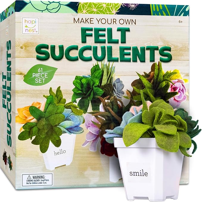 Hapinest DIY Potted Felt Succulents Craft Kit by Hapinest