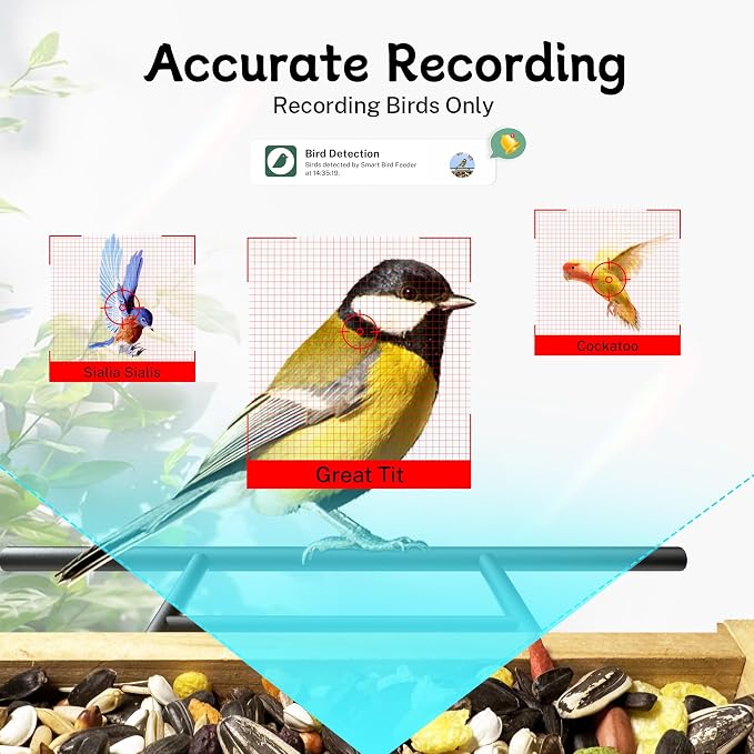 TT Nature Bird Feeder with Camera, Upgraded 1.5L Smart Birdhouse Al Identify - Image 7