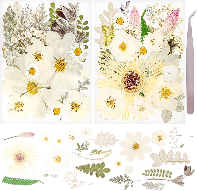50Pcs Dried Pressed Flowers Real Pressed Flowers Natural Dry Leaves Bulk Mixed by Gvhntk