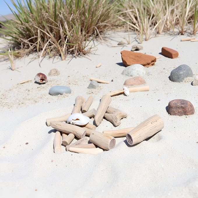 20 Pcs Wood Natural Driftwood Pieces Branch Slices Craft Sticks Beach Decor - Image 9