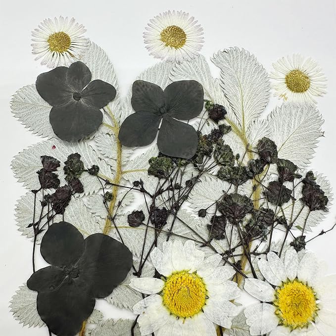 Woohome 4 Pack Dried Flowers for Resin Molds - Image 2