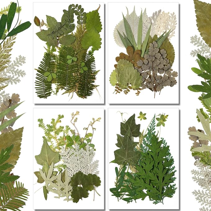 Timtin 84 Pieces Dried Pressed Leaves Flowers by Timtin