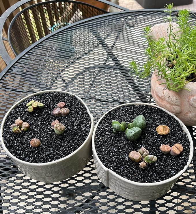 TOYPOPOR 6lb Succulents and Cactus Black Sand, Décor & Additive Tiny Stones - Image 6