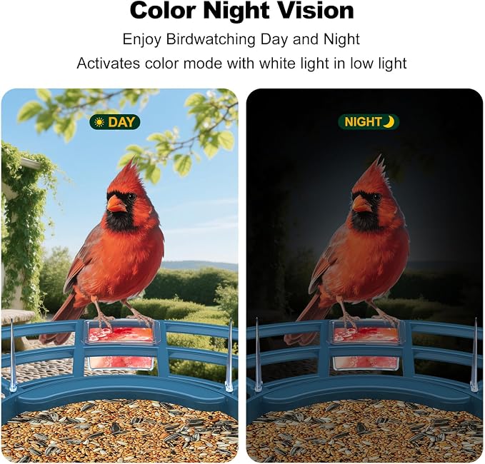 Bird Feeder with Camera, FHD Live View Video, Smart WiFi Bird Feeder Camera - Image 7