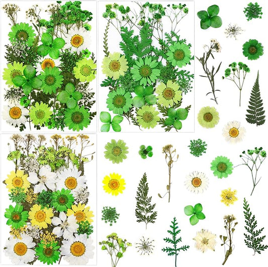 84 Pcs Green Dried Pressed Flowers Real Natural Leave by LUCISKY
