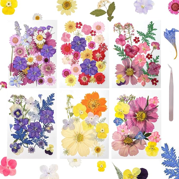 Dried Pressed Flowers Real Pressed Flowers Natural Dry Leaves Bulk Mixed by Gvhntk