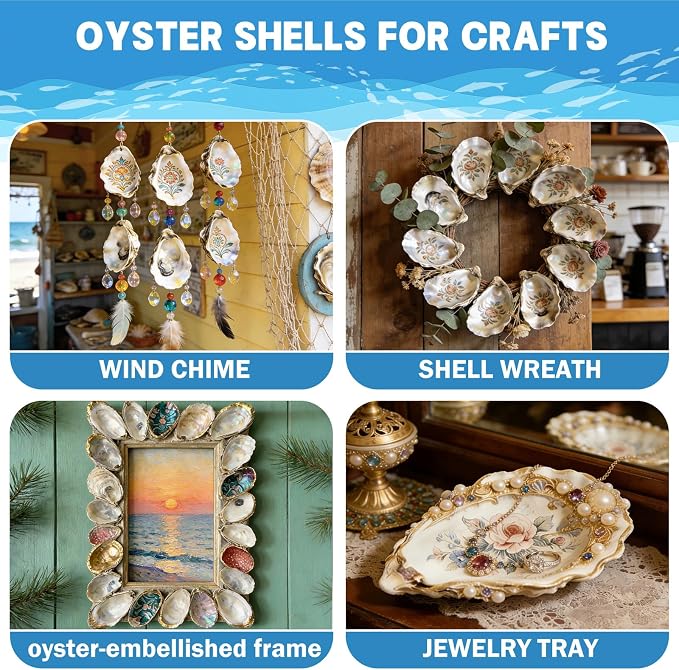 4"-5" 20PCS Large Concave Oyster Shells - Image 3