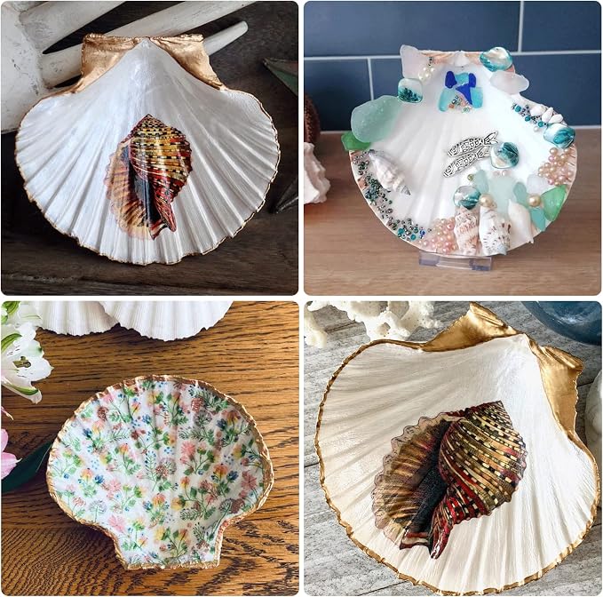 LUCKY BABY 4"-5" Scallop Shells - Image 3