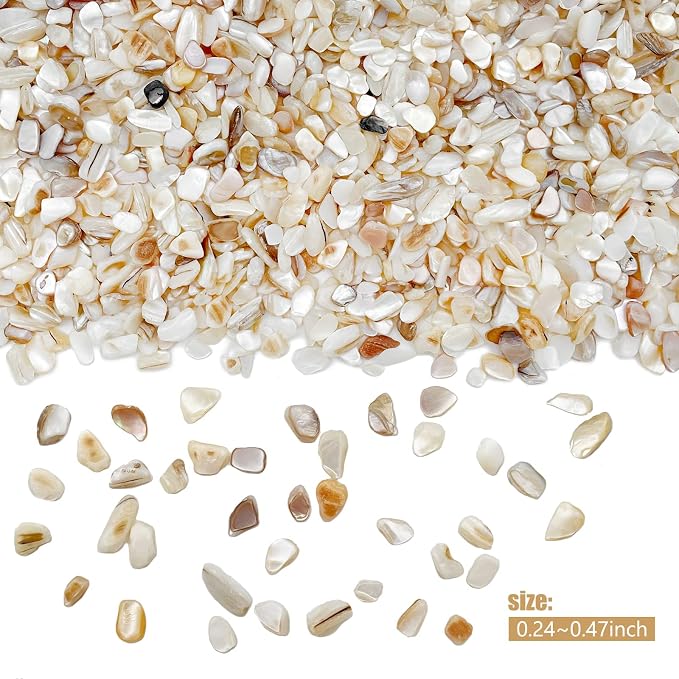 Crushed Shells for Crafts, Sea Shells for Kids DIY Art, Vase Fillers Table - Image 5