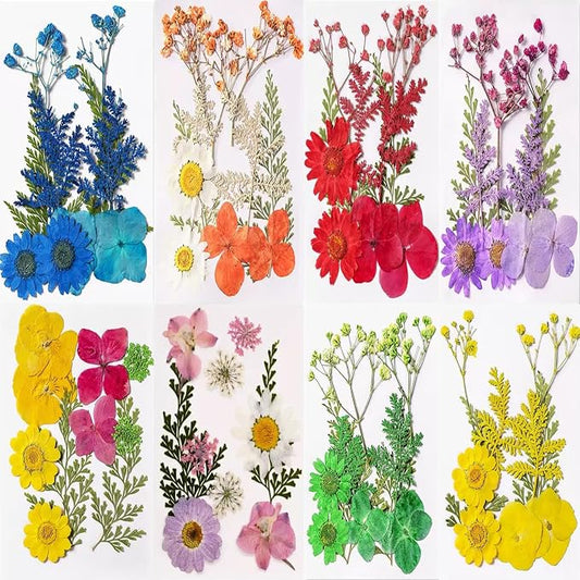 Dried Flowers, Resiners 80Pcs（Trending Colors） Pressed Flowers by ohsuni