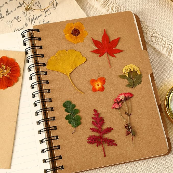 Augshy Fall Dried Pressed Flowers and Leaves - Image 3