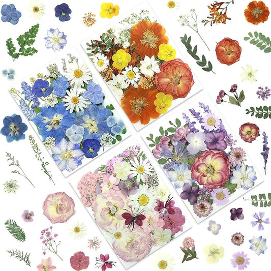 LUXEEASE 4-Color 100P Vibrant Dried Pressed Flowers | Vivid blue orange pink by LUXEEASE