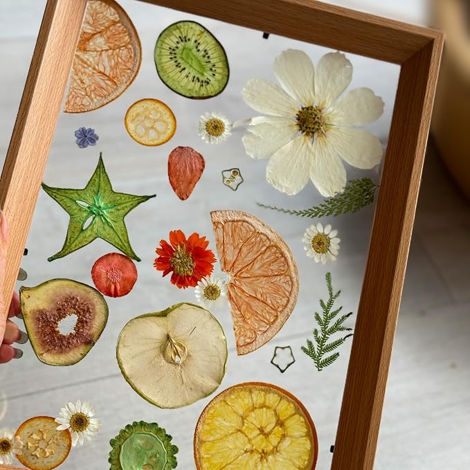 Nature Dried Pressed Fruits Flowers - Image 5