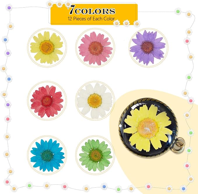 Nuanchu 84 Pcs Pressed Flowers Real Dried Daisies Colorful Pressed Daisy - Image 2