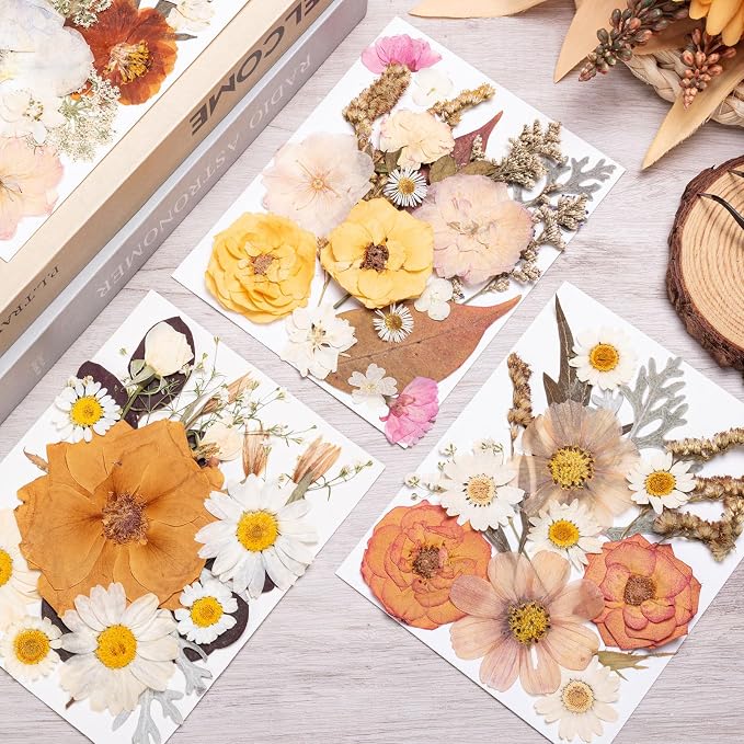 90pcs Boho Pressed Flowers Bulk, Vintage Dried Flower Leaves, Natural Fall - Image 3
