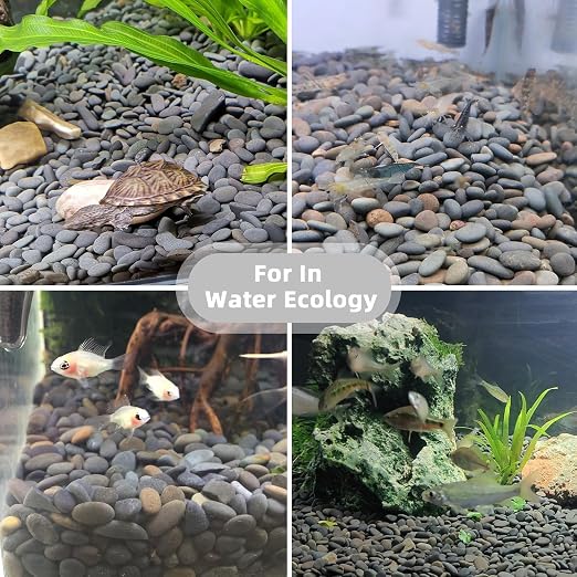 45lb River Rocks Pebbles for Plants & Succulents, Decorative Outdoor - Image 4