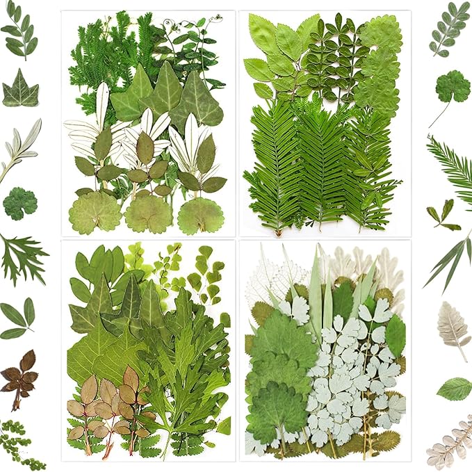 MIKIYA 84Pcs Pressed Dried Leaves by MIKIYA
