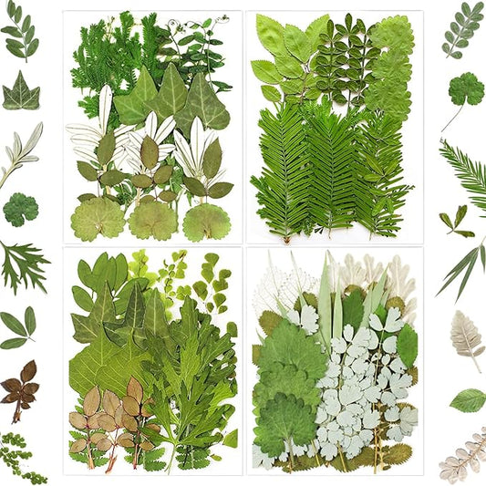 MIKIYA 84Pcs Pressed Dried Leaves by MIKIYA