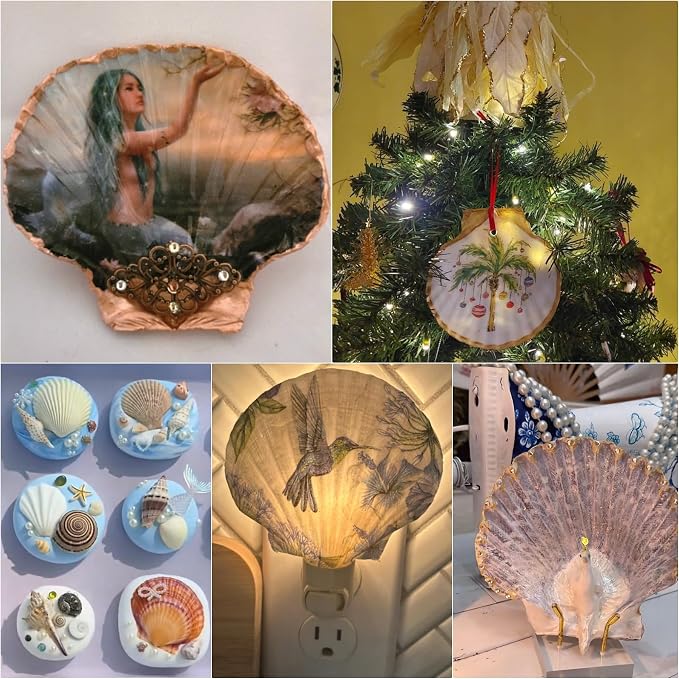 JSPYFITS 12PCS Large Natural Scallop Shells, DIY Painting, Baking and Beach - Image 6