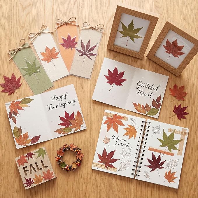 48 Pcs Dried Pressed Fall Maple Leaf - Image 7