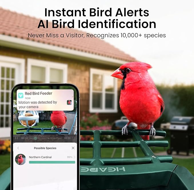 Bird Feeder with Camera Solar Powered 2K HD Video, 000+ Species AI Recognition - Image 3