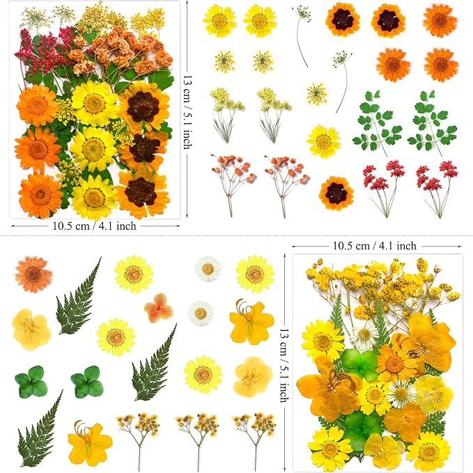MIKIYA 88Pcs Yellow Pressed Dried Flowers - Image 6