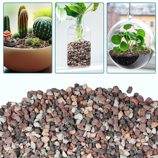 2.5lbs Mix Horticultural Lava Rock - Image 6
