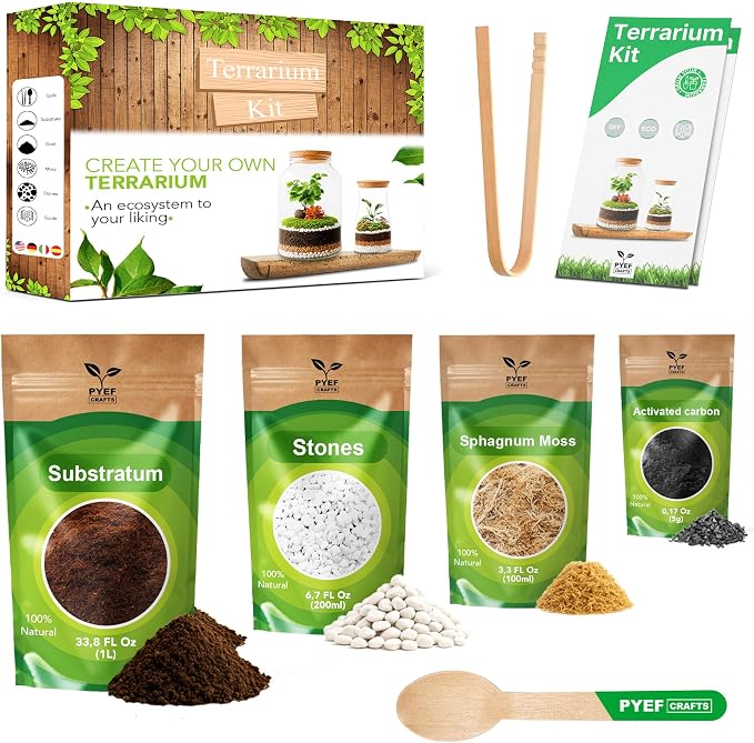 Terrarium Kit, Succulents & Indoor Plants Set DIY | Starter Pack by PYEFCRAFTS