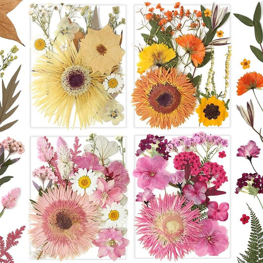 34 Types 60PCS Real Dried Pressed Flowers Leaf Plant Herbarium by Unknown