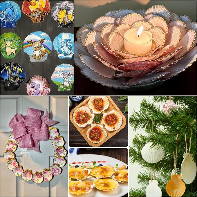 JSPYFITS 12PCS Large Natural Scallop Shells, DIY Painting, Baking and Beach - Image 7