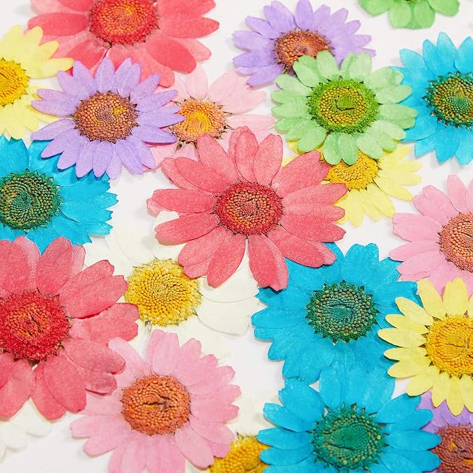 Nuanchu 84 Pcs Pressed Flowers Real Dried Daisies Colorful Pressed Daisy - Image 7
