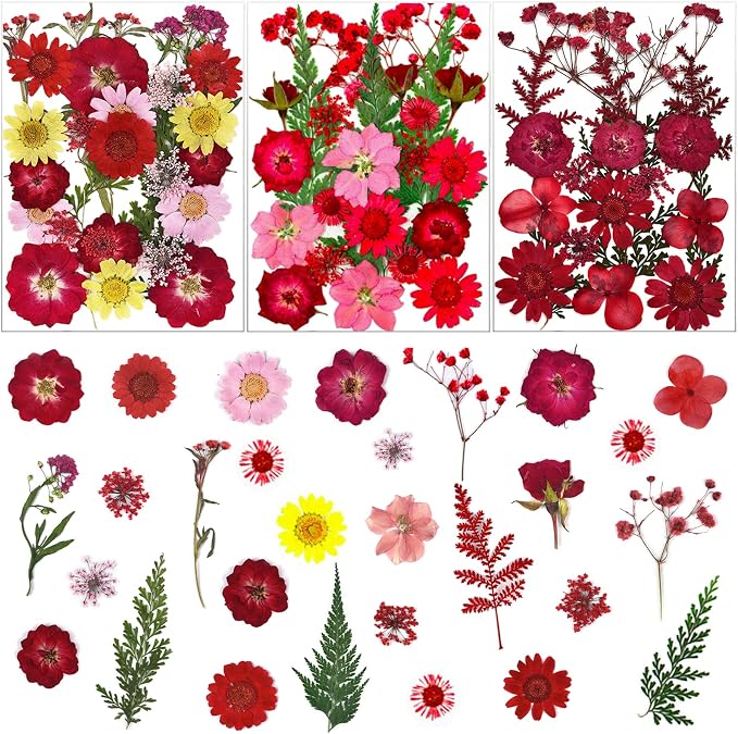 75 Pcs Red Dried Flowers Real Natural Pressed Leave Petals by LUCISKY