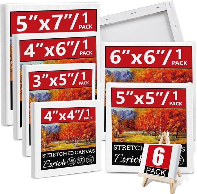 6Packs Mini Stretched Canvases for Painting by ESRICH