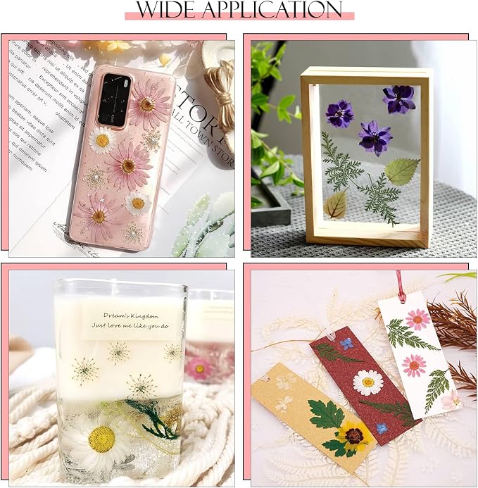 153 Pcs Dried Pressed Flowers Leaves - Image 2