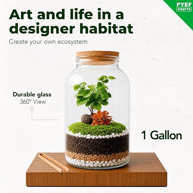 Terrarium Kit for Plants DIY | Starter Pack – Closed Ecosystem – 1 Gal Glass – - Image 2