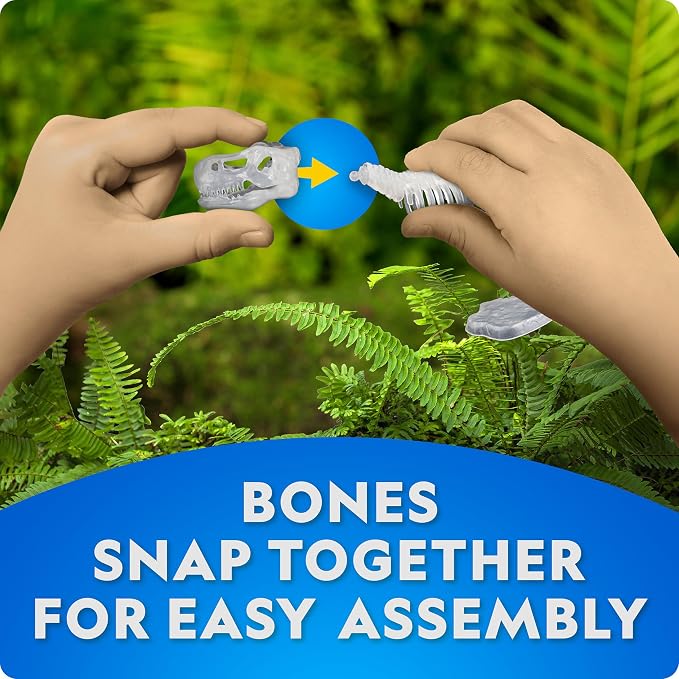 National Geographic Glow-in-The-Dark Dinosaur Skeleton Model Building Kit – - Image 4