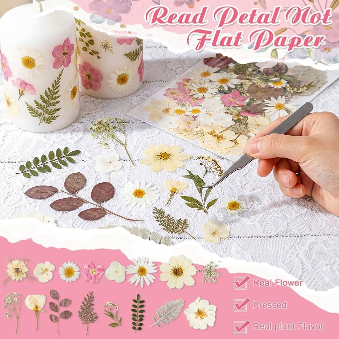 96 Pcs Natural Dried Pressed Flowers - Image 4