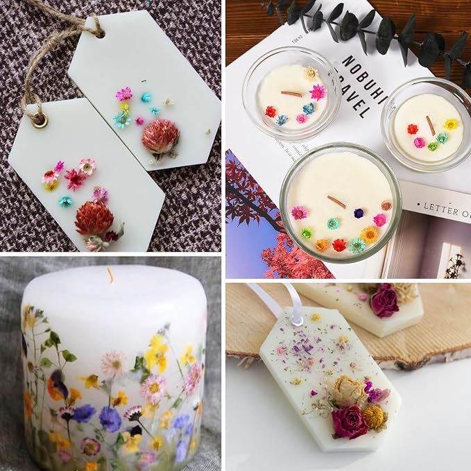 300 PCS Small Dried Flowers for Crafts - Image 6