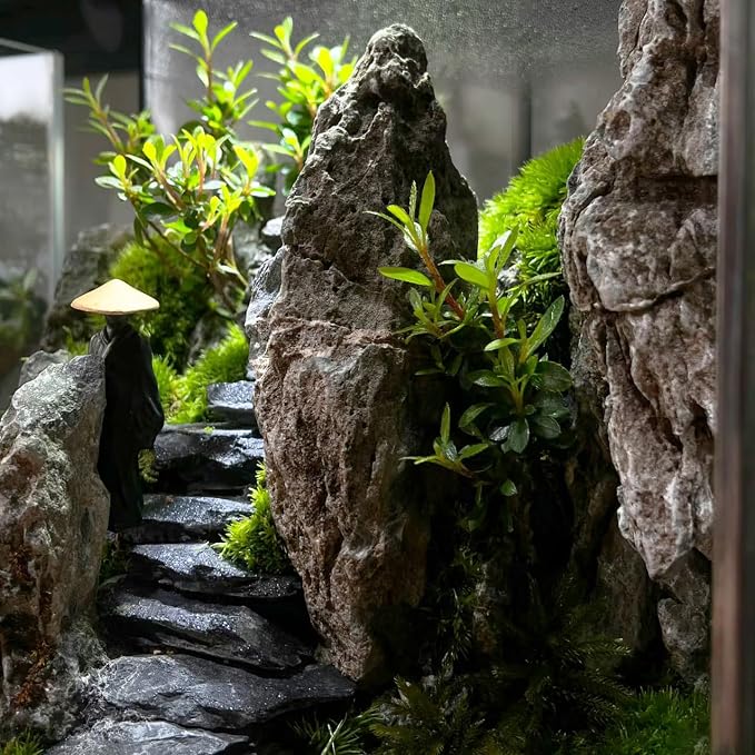 Natural Rocks Slate Stone 1-2.5 Inches Decorative Stones - Image 7